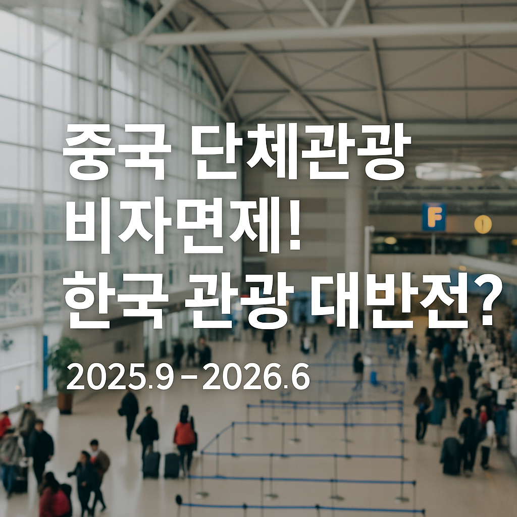 중국단체관광비자면제 .한국관광대반전