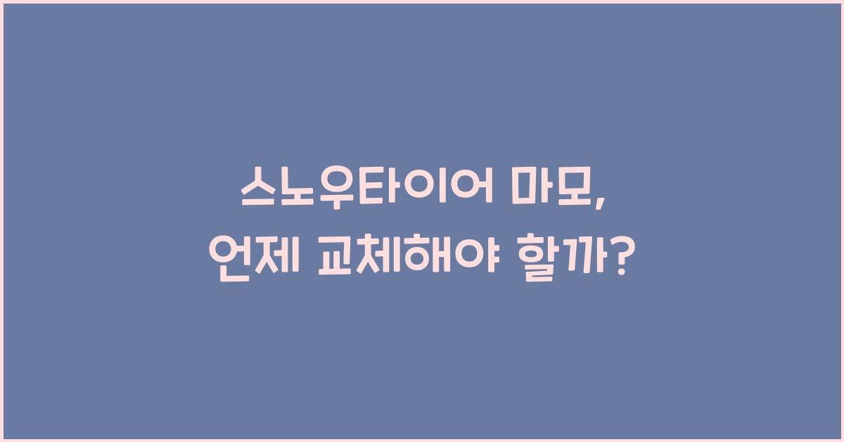 스노우타이어 마모