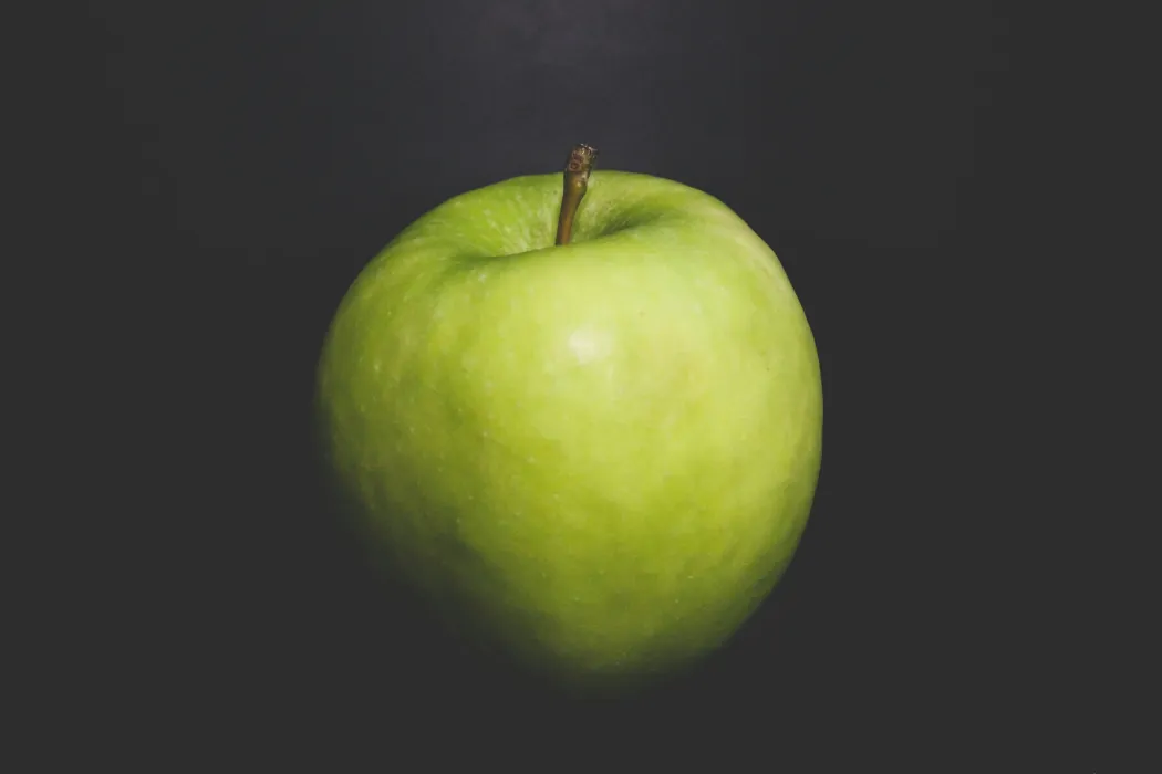 사과-사진