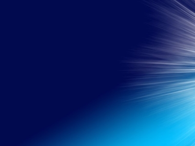 표고버섯 효능 사진10