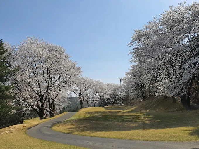용인 플라자CC 골프장 소개 및 예약방법