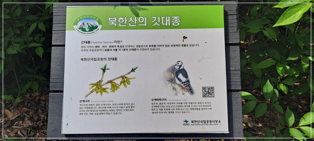 북한산의-깃대종-안내