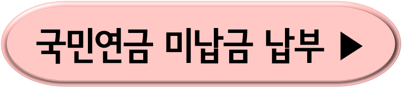 국민연금미납금 납부