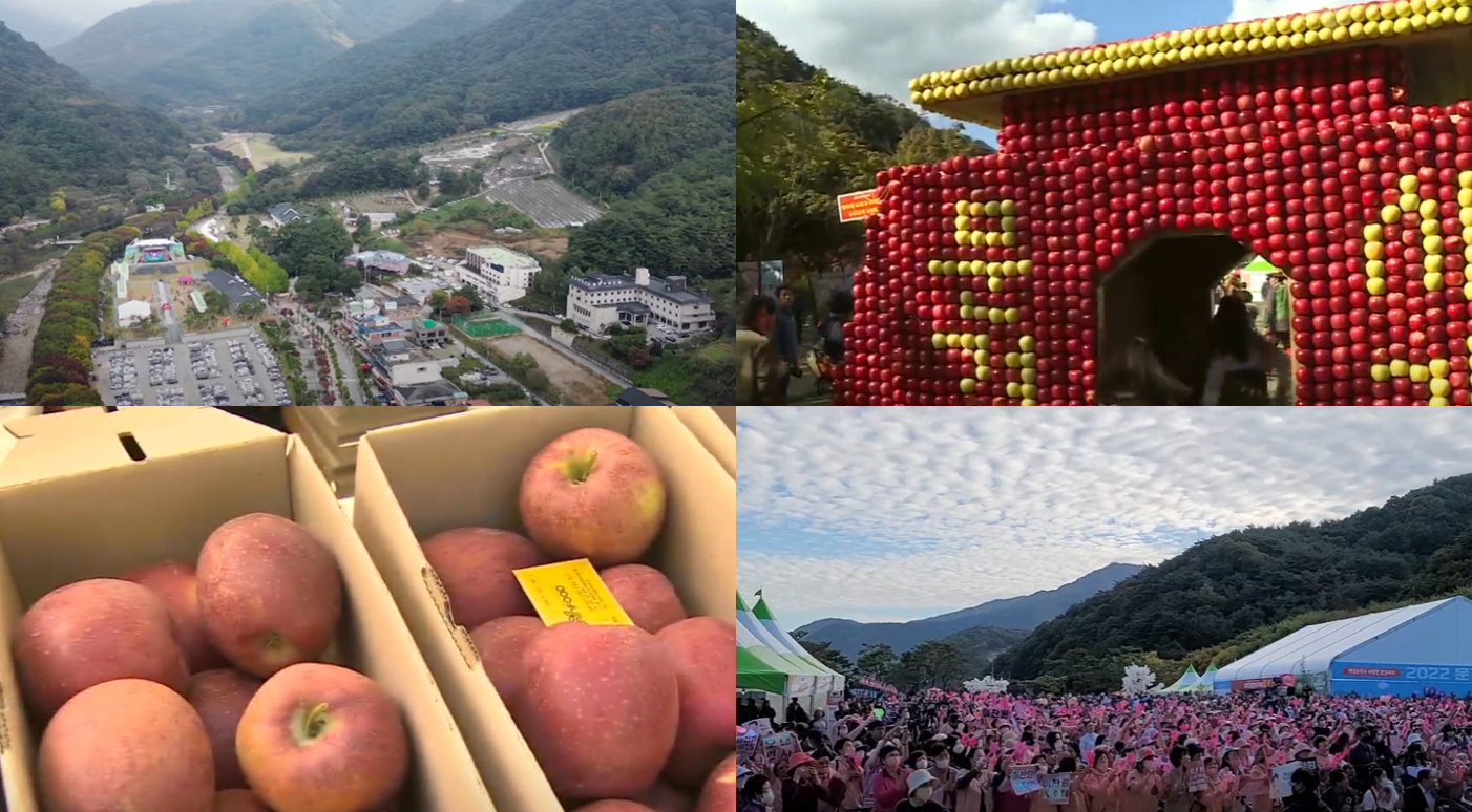 문경사과축제