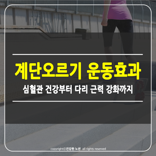 계단오르기 운동효과