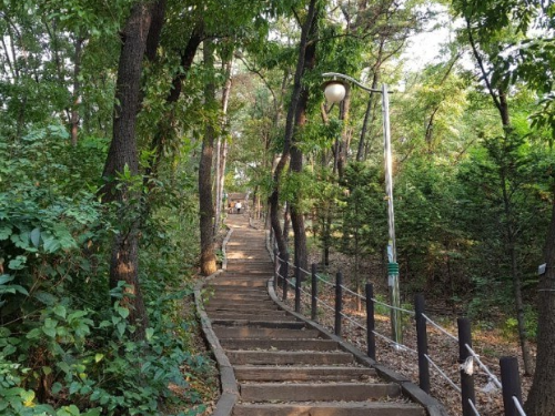 수원 영통 독침산 둘레길 산책 코스