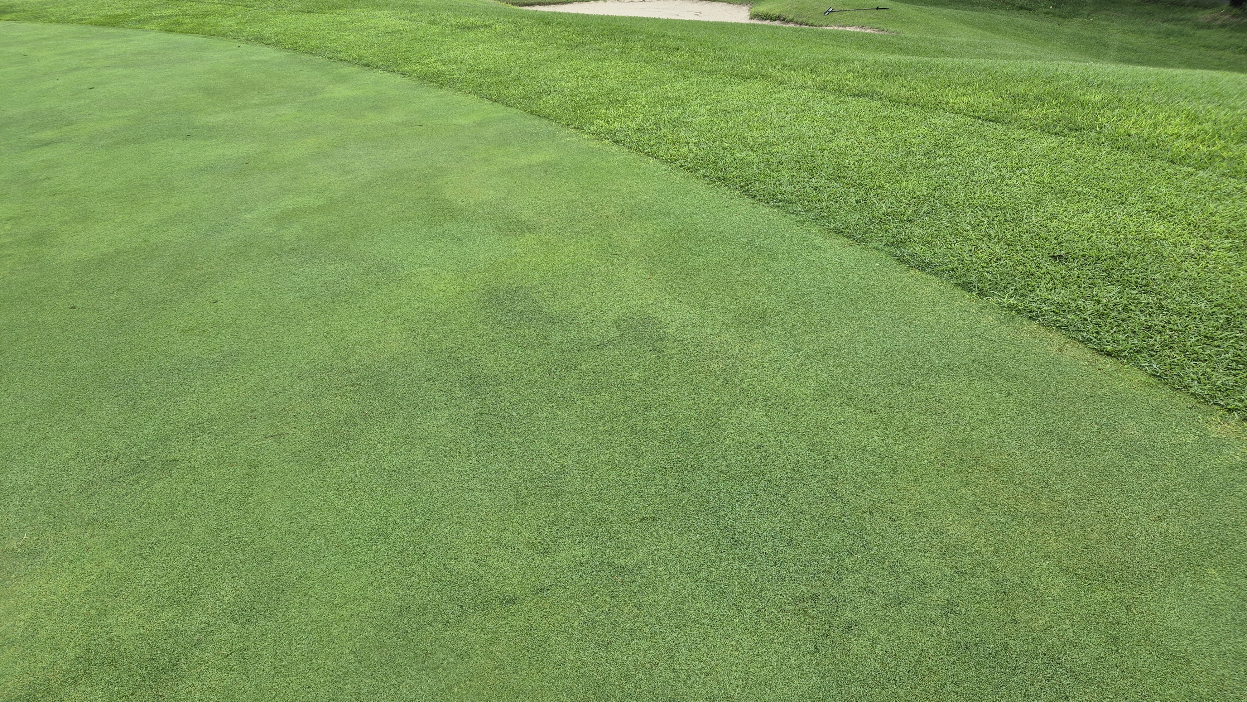 뉴서울cc 예술in-문화in 코스 라운드 후기