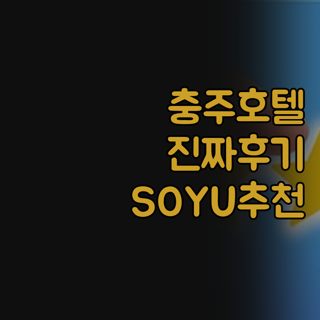충주 호텔 두 곳 비교 동행 SOYU..
