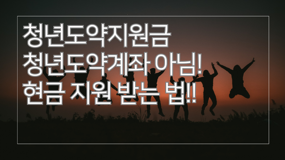 청년도약지원금 300만원