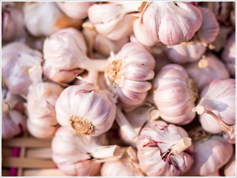 췌장에 좋은 음식