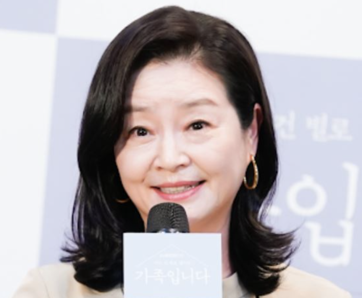 원미경 작품활동