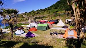 제주 함덕 비치 캠핑존