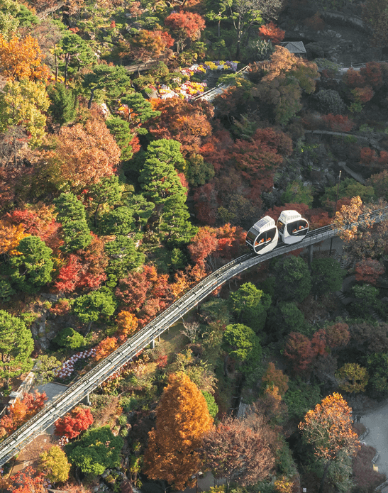 2025 화담숲 예약 방법