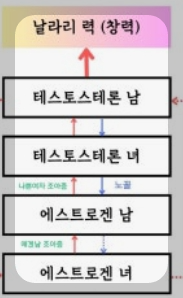 테토 vs 에겐 &ndash; 장단점 비교