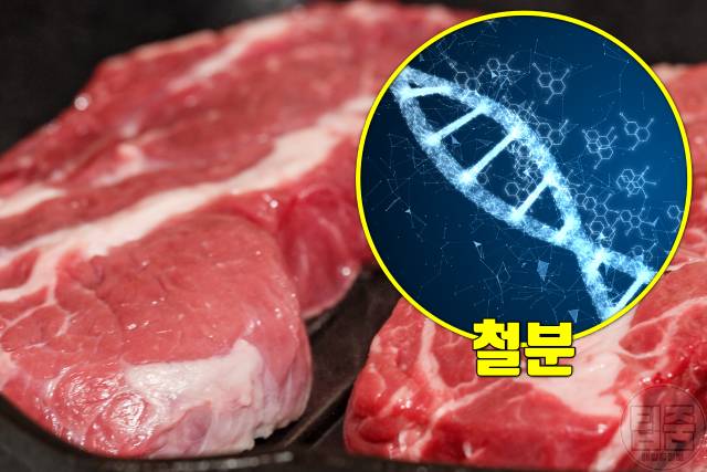 탈모 비타민 철분 음식 탈모에좋은비타민