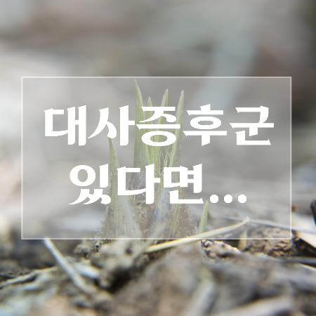 죽순-채취시기