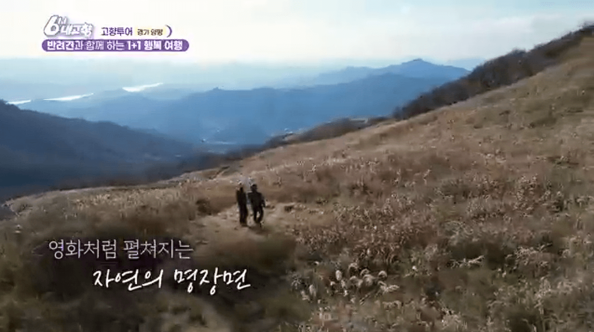 [6시내고향]경기 양평 애견동반 바베큐&middot;정원카페&middot;산악 액티비티 &amp;#39;바베큐레이브 더그림 엑스라이프&amp;#39; 예약 위치 연락처 정보