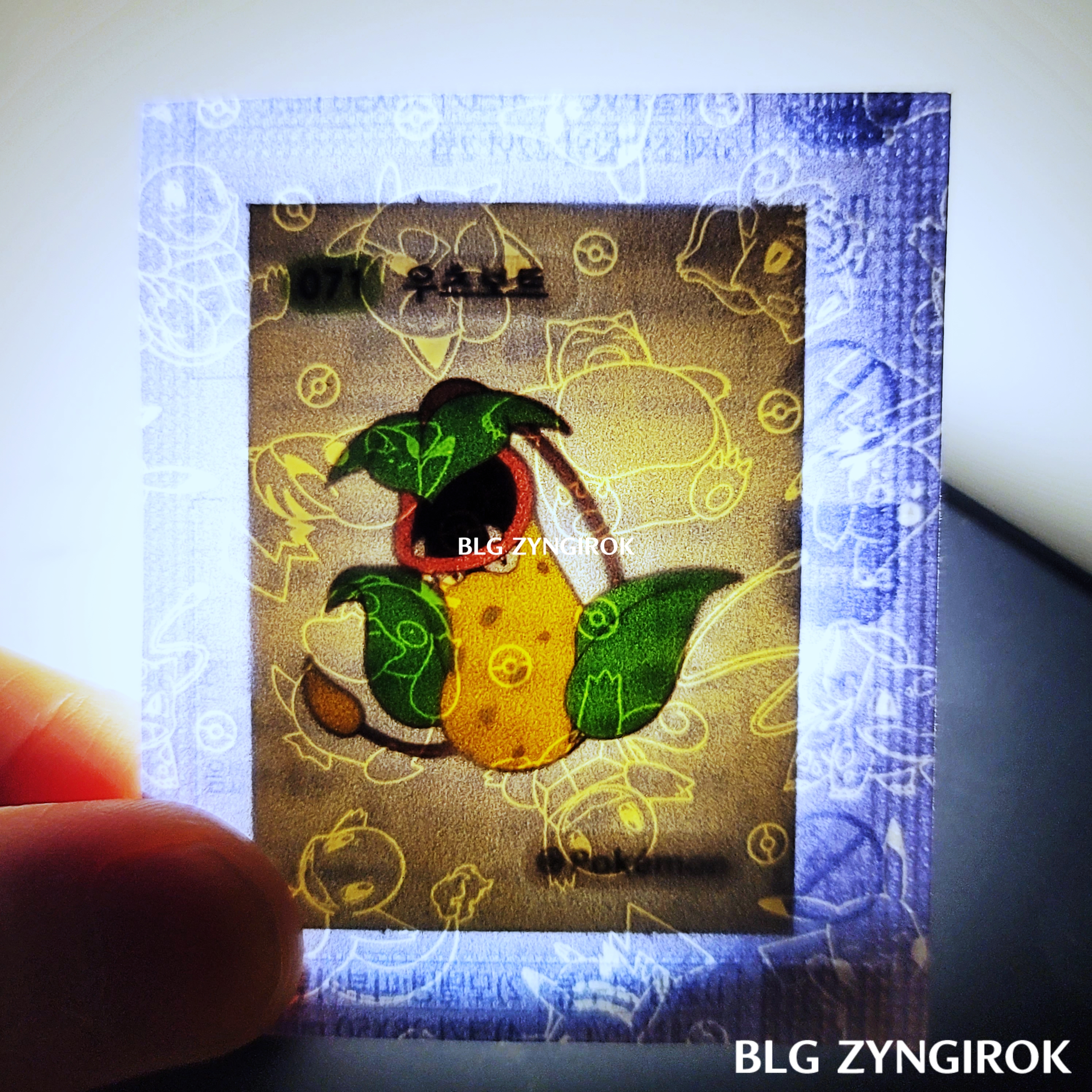 띠부띠부씰-우츠보트를-들고있다.