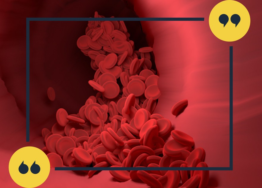 hdl콜레스테롤 정상수치