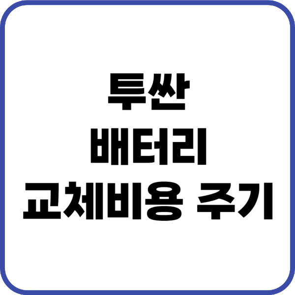 투싼 배터리