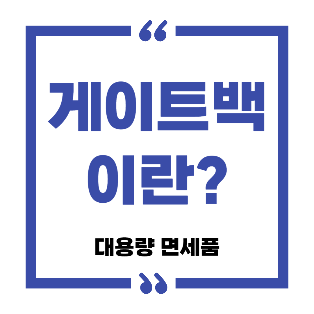 게이트백 대용량면세품 해외여행 꿀팁(이용 절차와 주의사항)