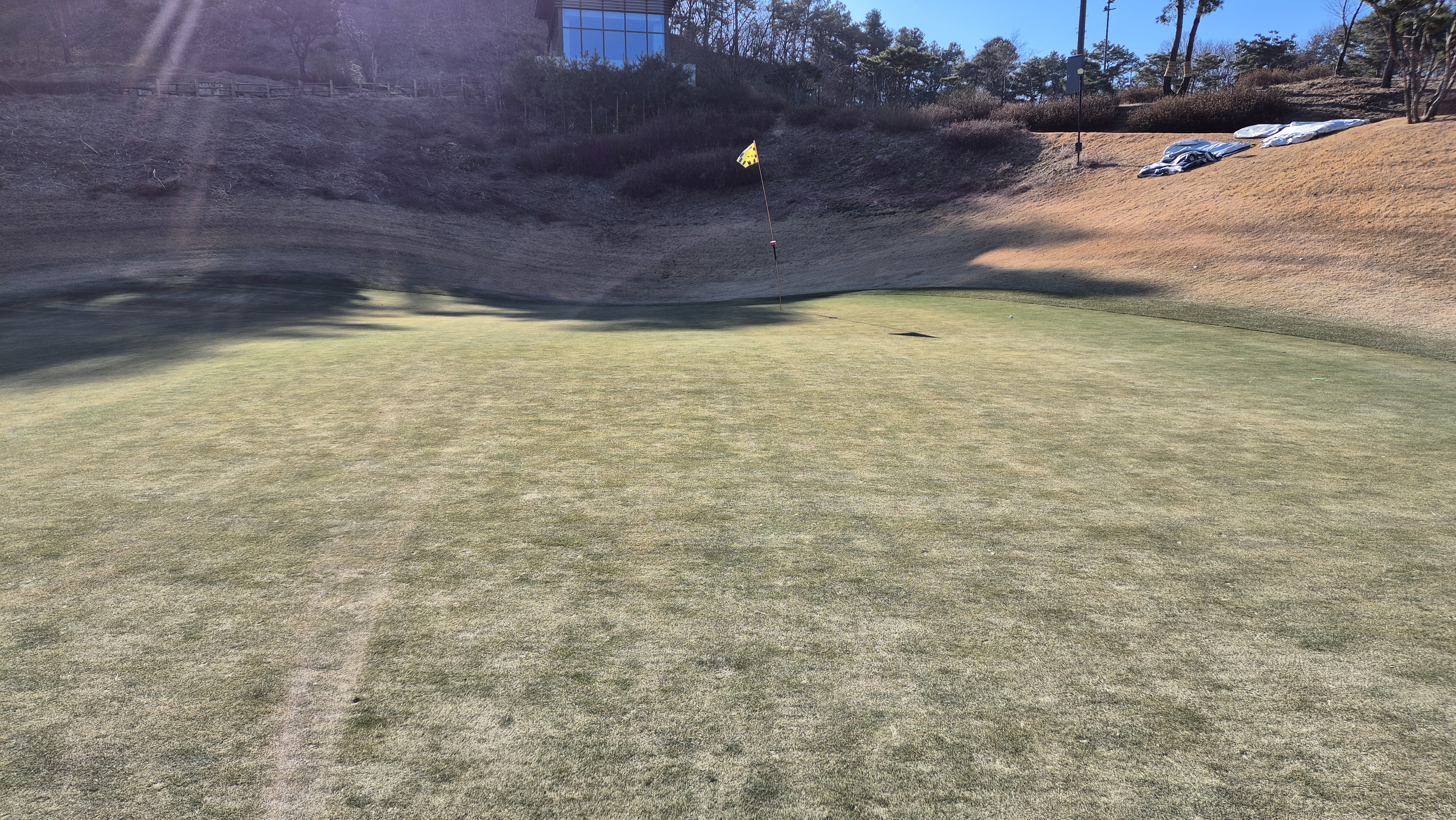 더크로스비gc 아리아-샬롯 코스 그린관리상태