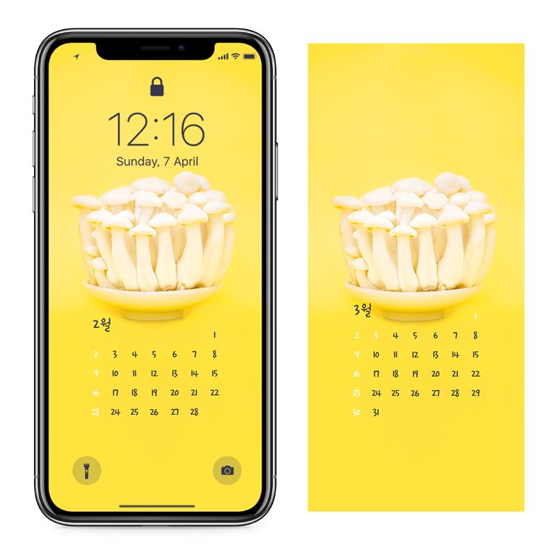 03 버섯 AB - 2025년2월 아이폰달력배경화면