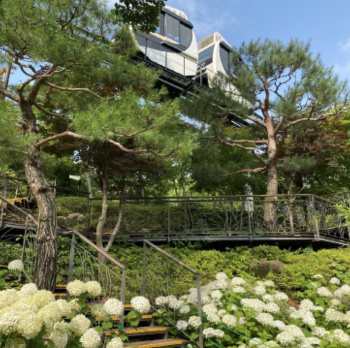 화담숲 수국축제