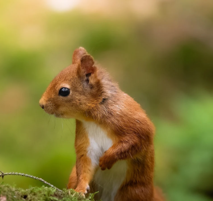 전통과 현대가 만나는 지역축제 문화의 진화