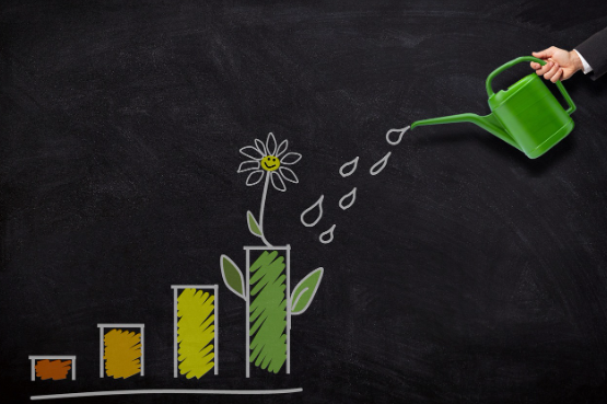 투자 성향에 따른 주식 선택 전략