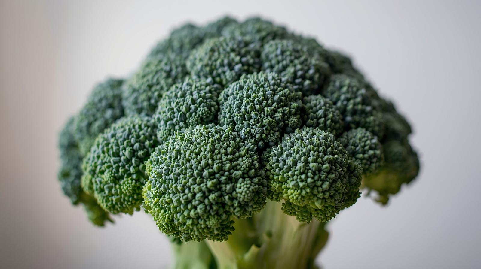 역류성 식도염 음식