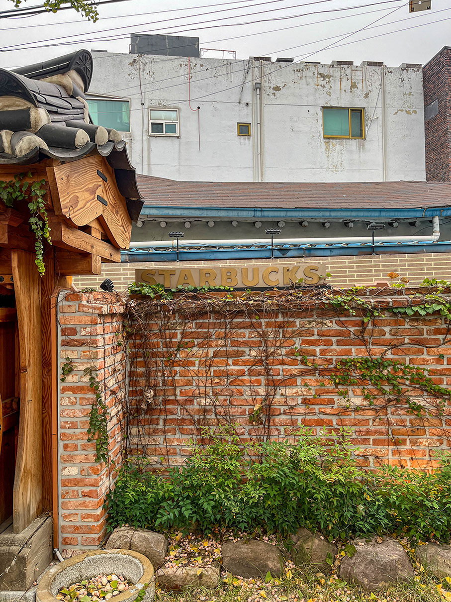 스타벅스 대구종로고택점