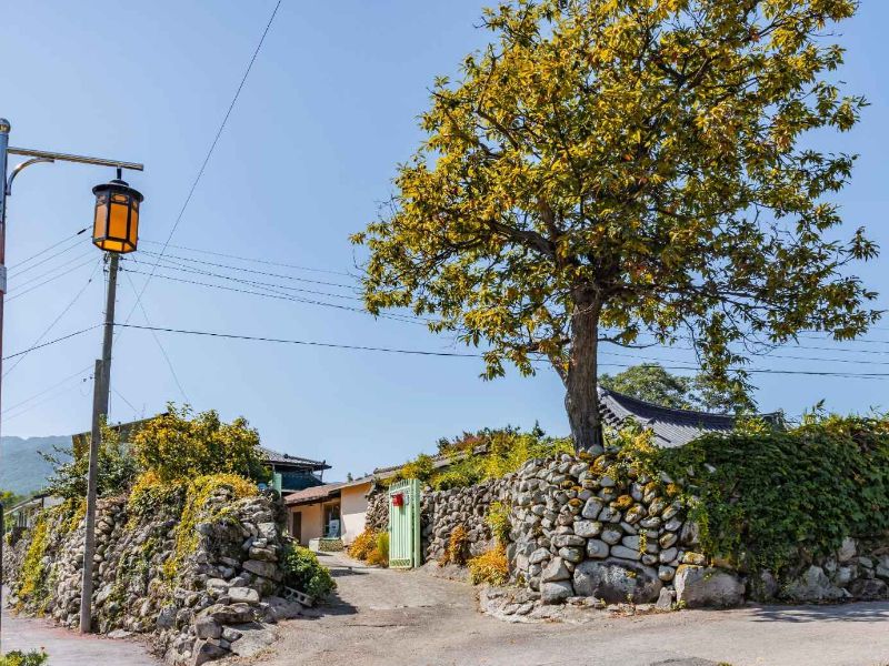 한밤마을 돌담길