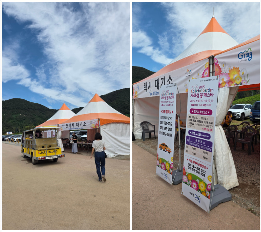자라섬 (2025 꽃 페스타)