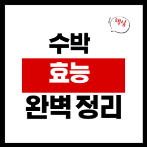수박 효능