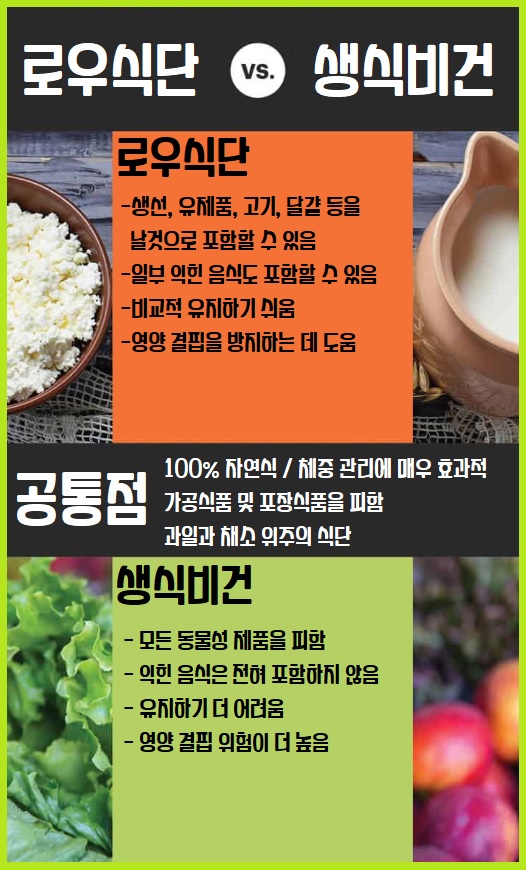 로우푸드 로푸드 raw food 식단 생식비건 비교 차이점