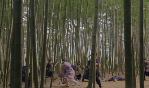 아홉산 대나무 숲