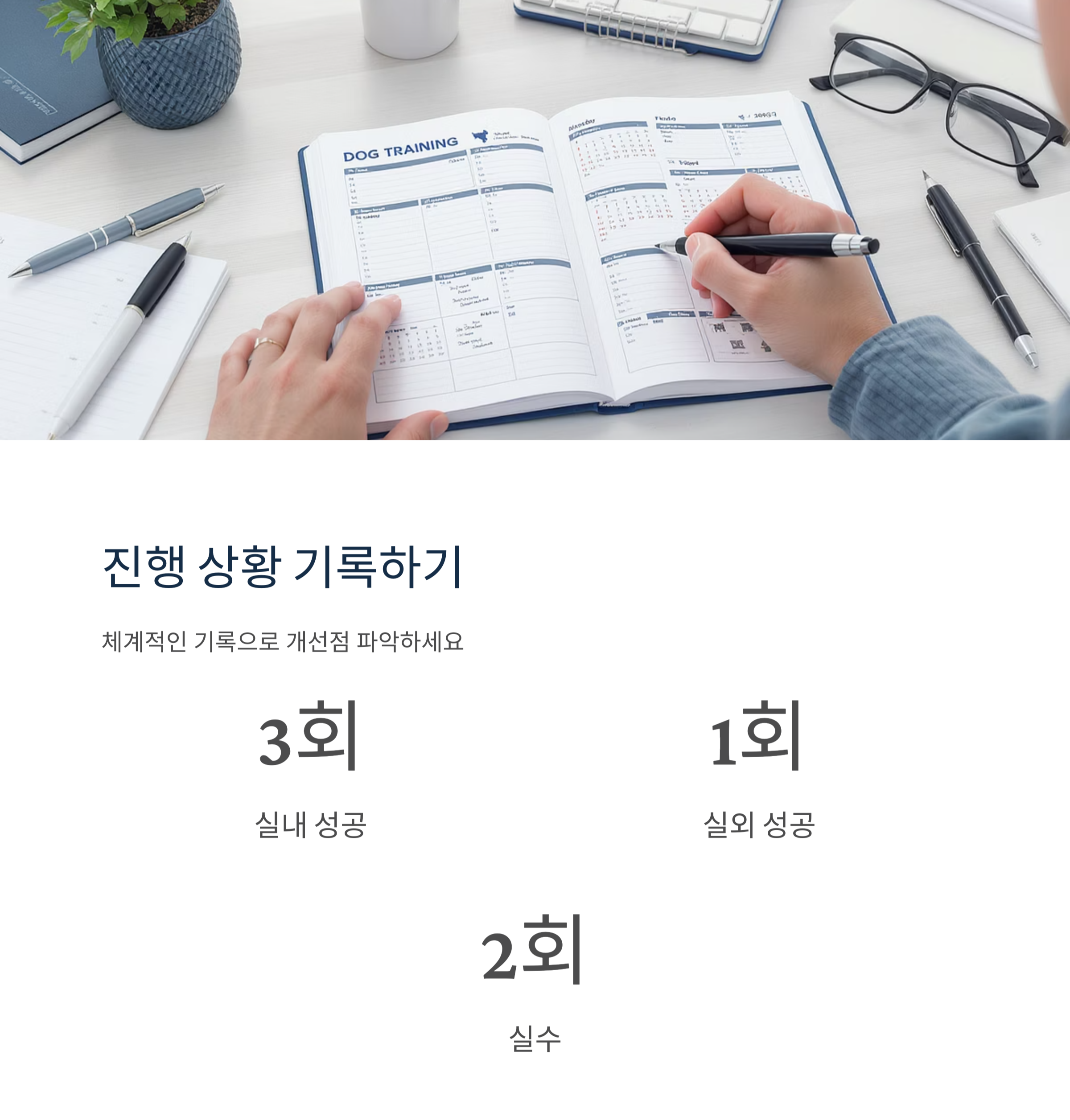 강아지 배변 훈련 완전 정복 가이드, 초보 집사 필독!