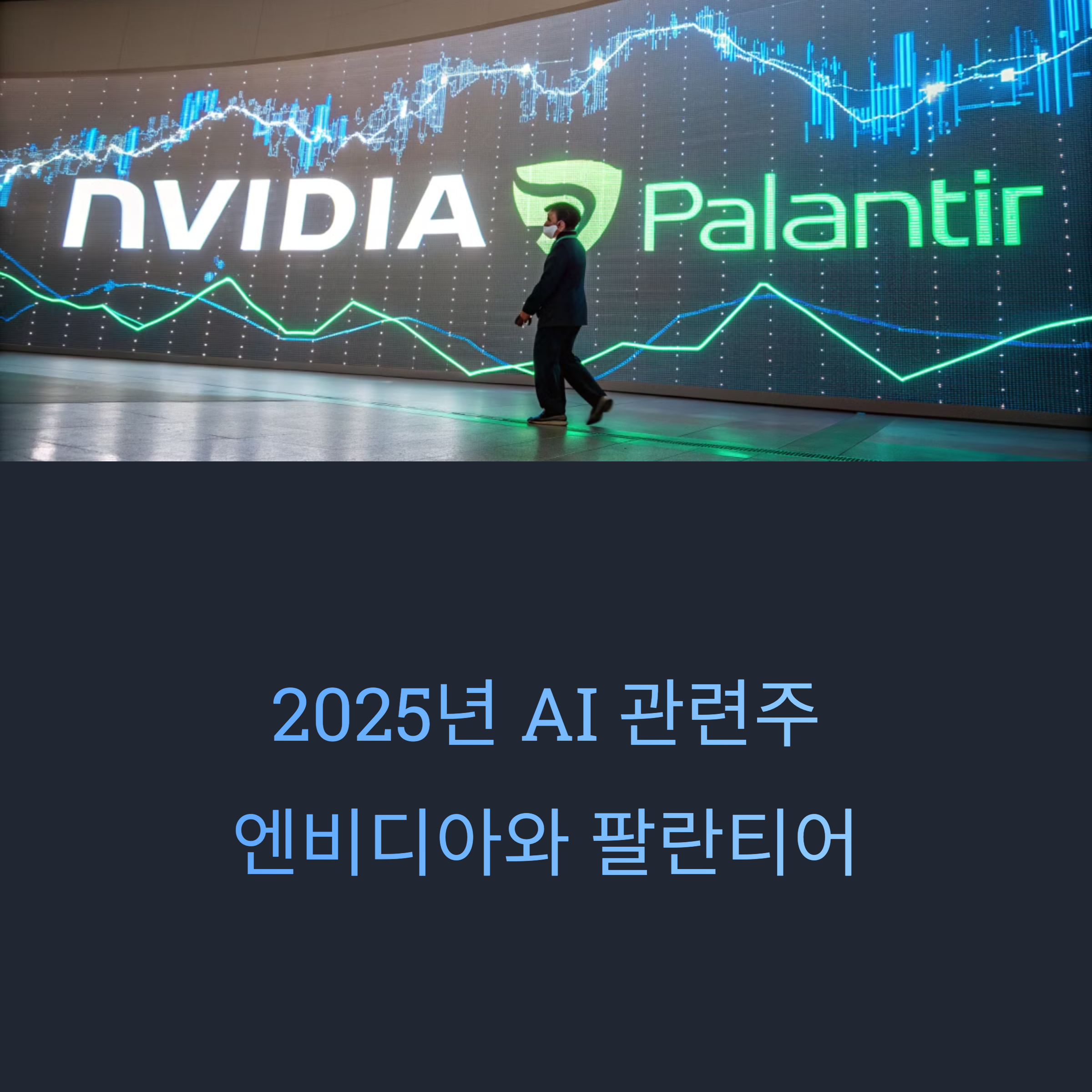 2025년 AI 관련주, 엔비디아와 팔란티어