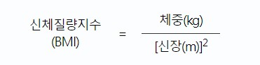 비만기준 - 고도비만기준, 복부비만기준, 소아비만기준