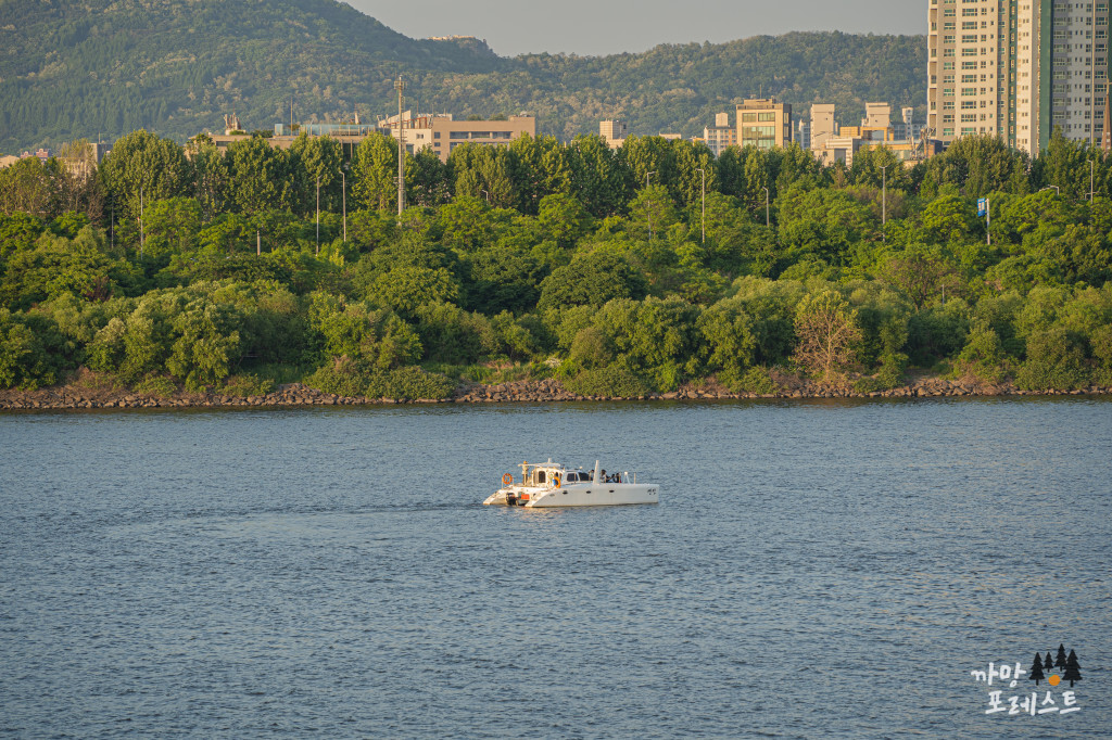 선유도공원 보트