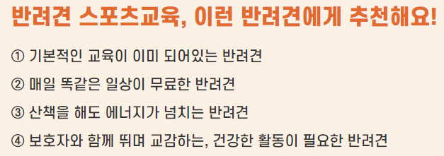 울산 애니언파크