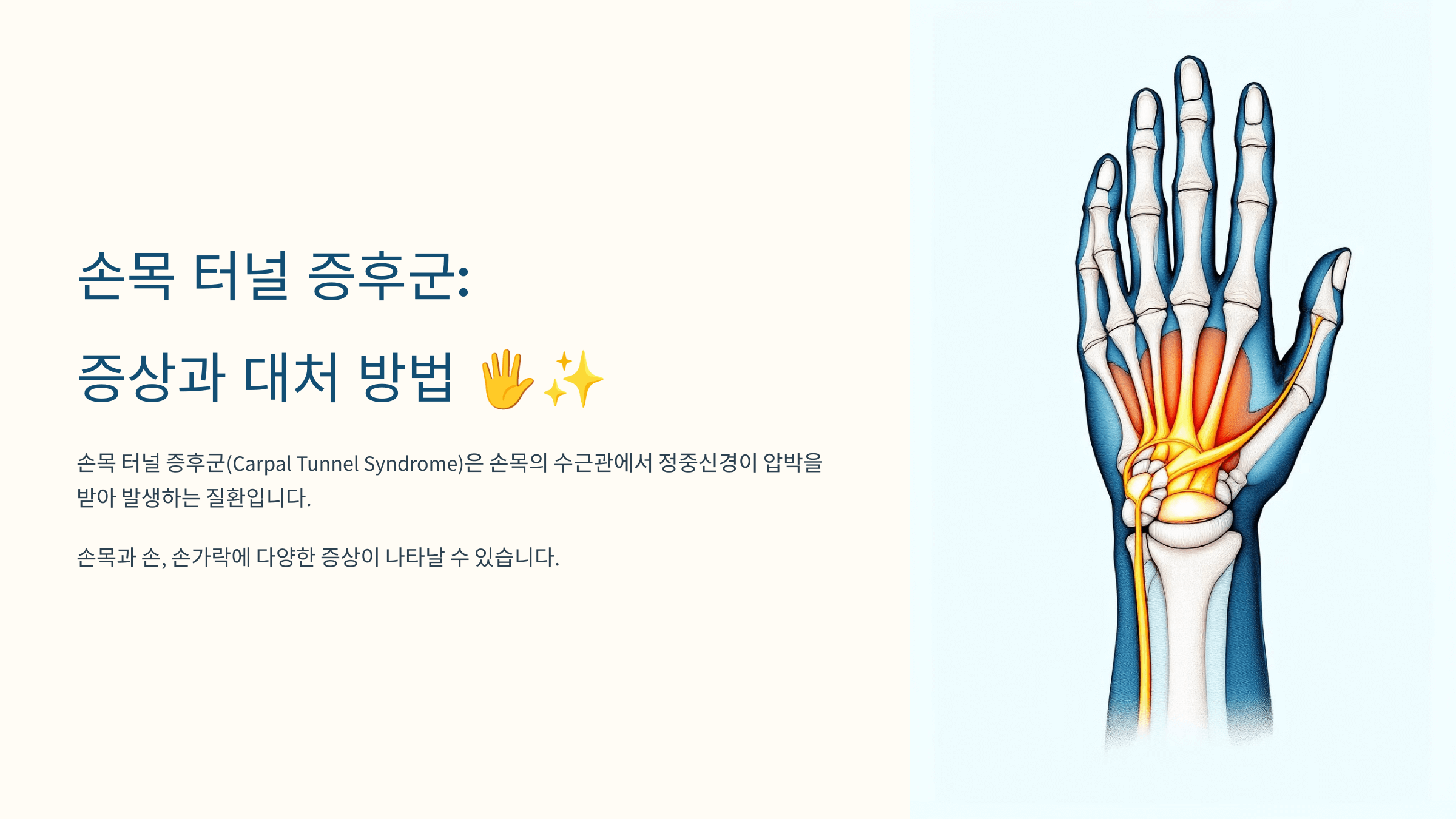 손목과 관련된 사진입니다.