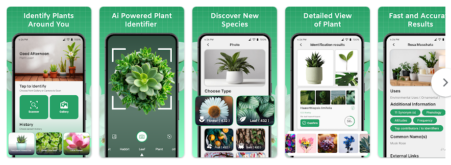 식물 이름 찾기 어플, 어플 다운로드 하고 식물이름 찾기