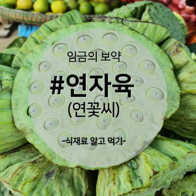 연자육