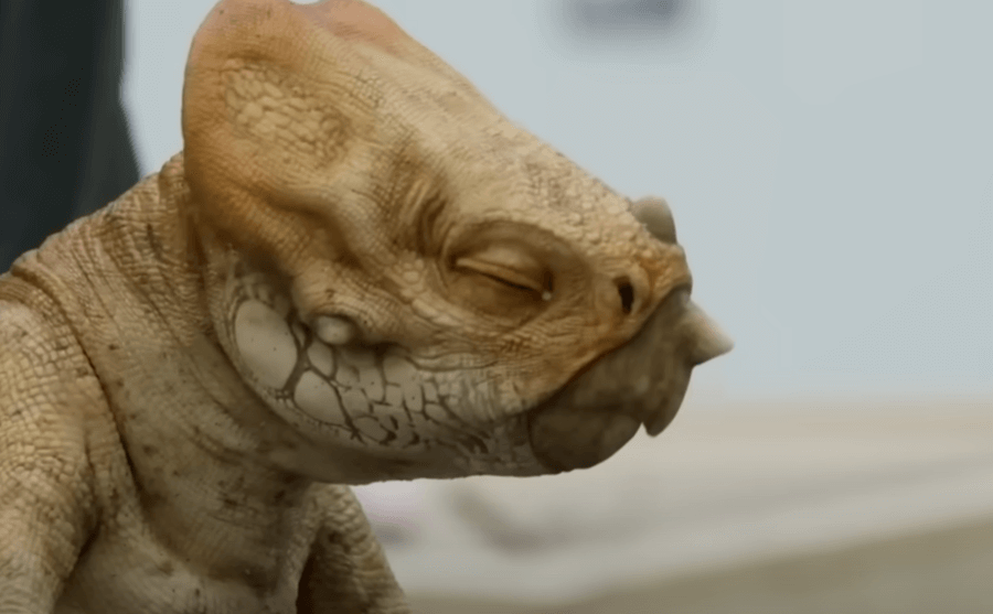 공룡이 돌아왔다