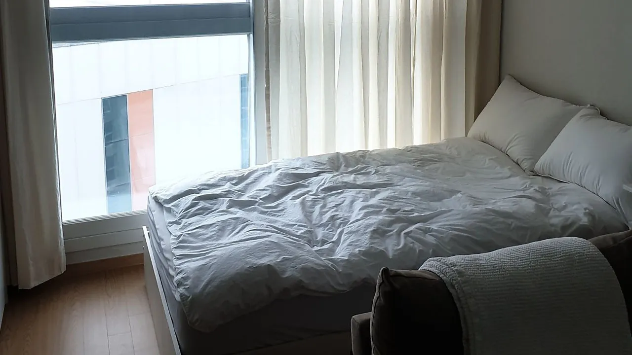 북향집 식물 선택 저조도관리 물주기 식물등 활용 방법_2