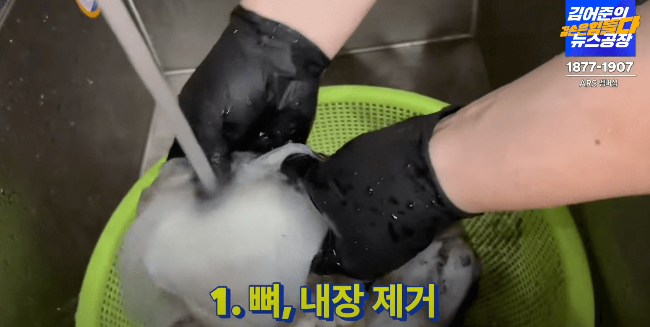 갑오징어-손질