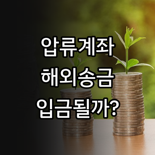 압류방지 전용계좌 해외송금 수령 가능..