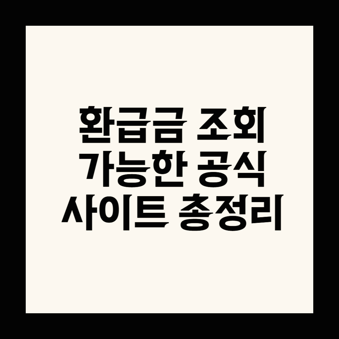 환급금 조회 가능한 공식 사이트 총정리
